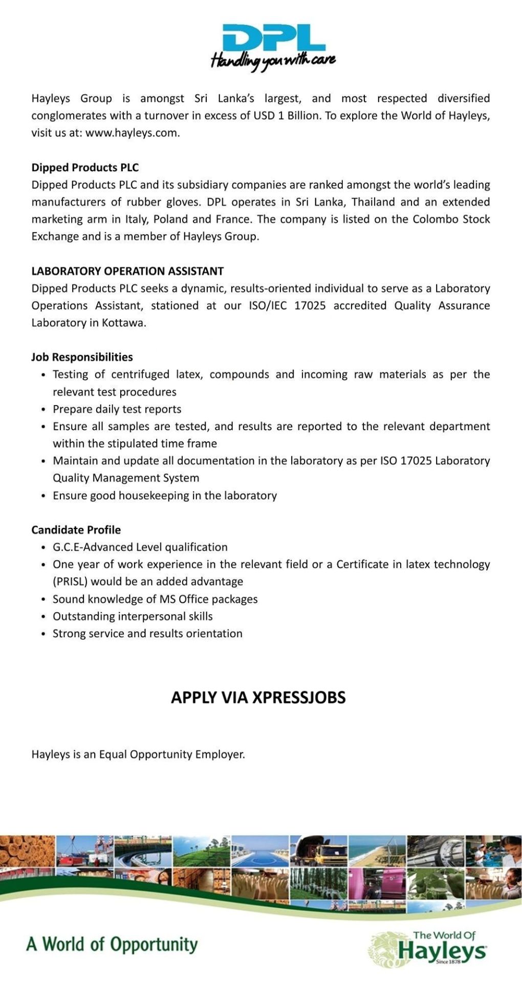 Job Image