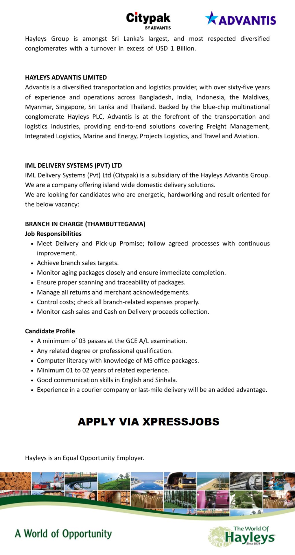 Job Image