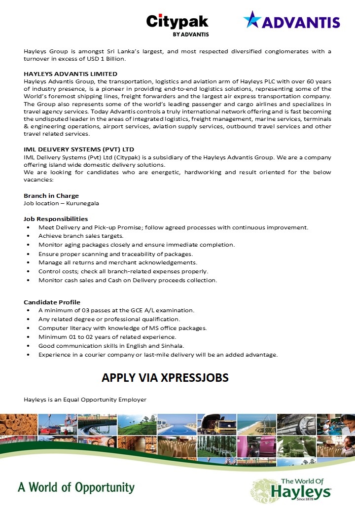 Job Image