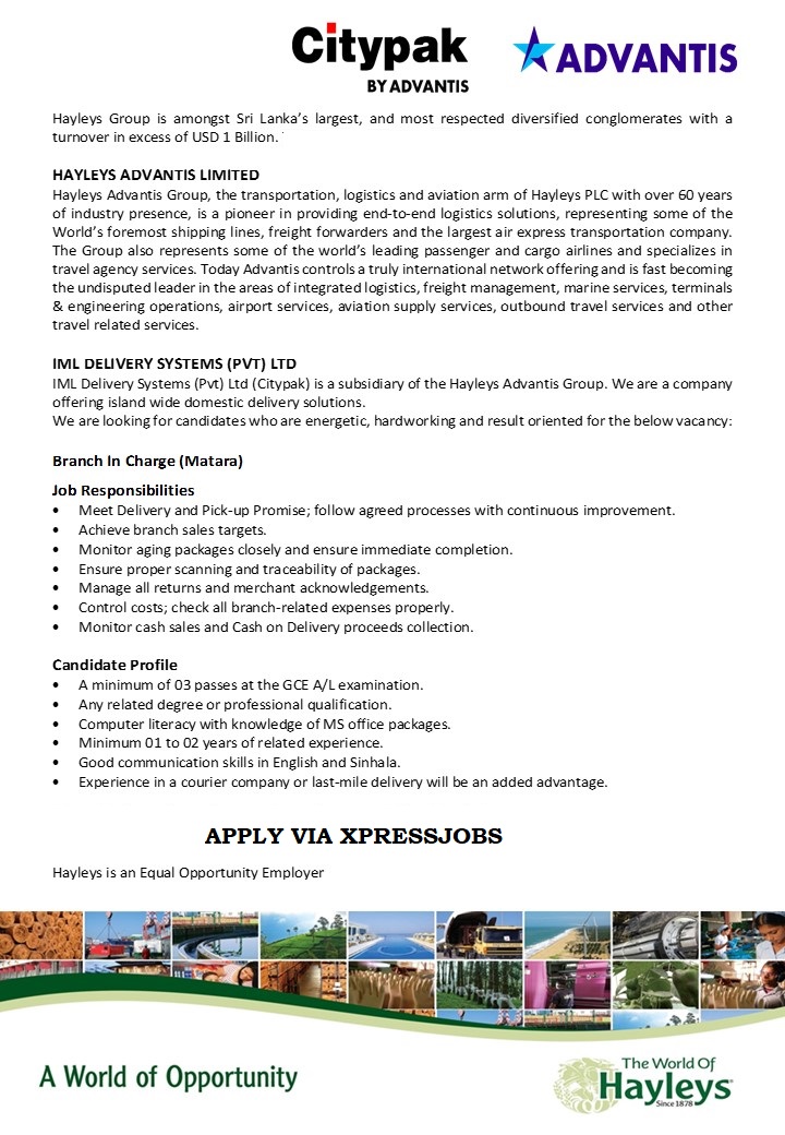 Job Image