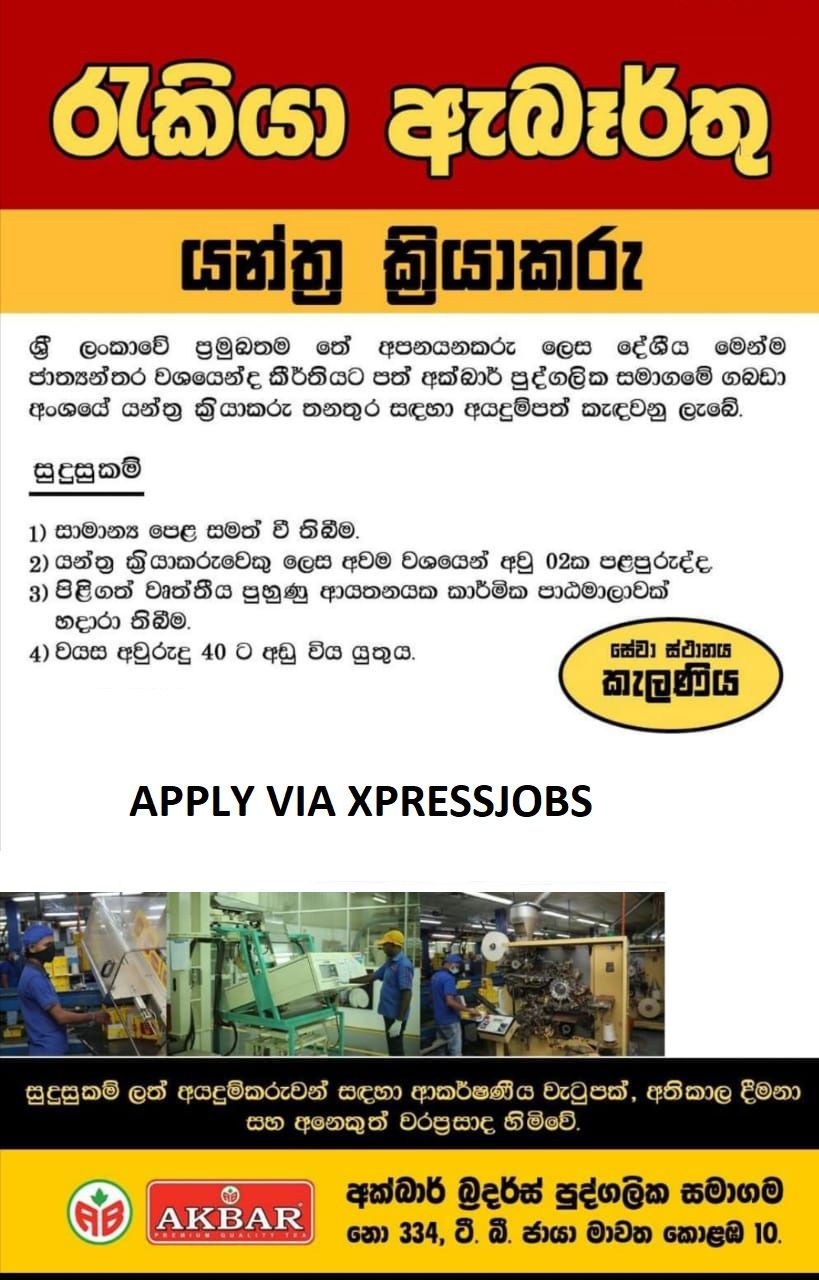 Job Image