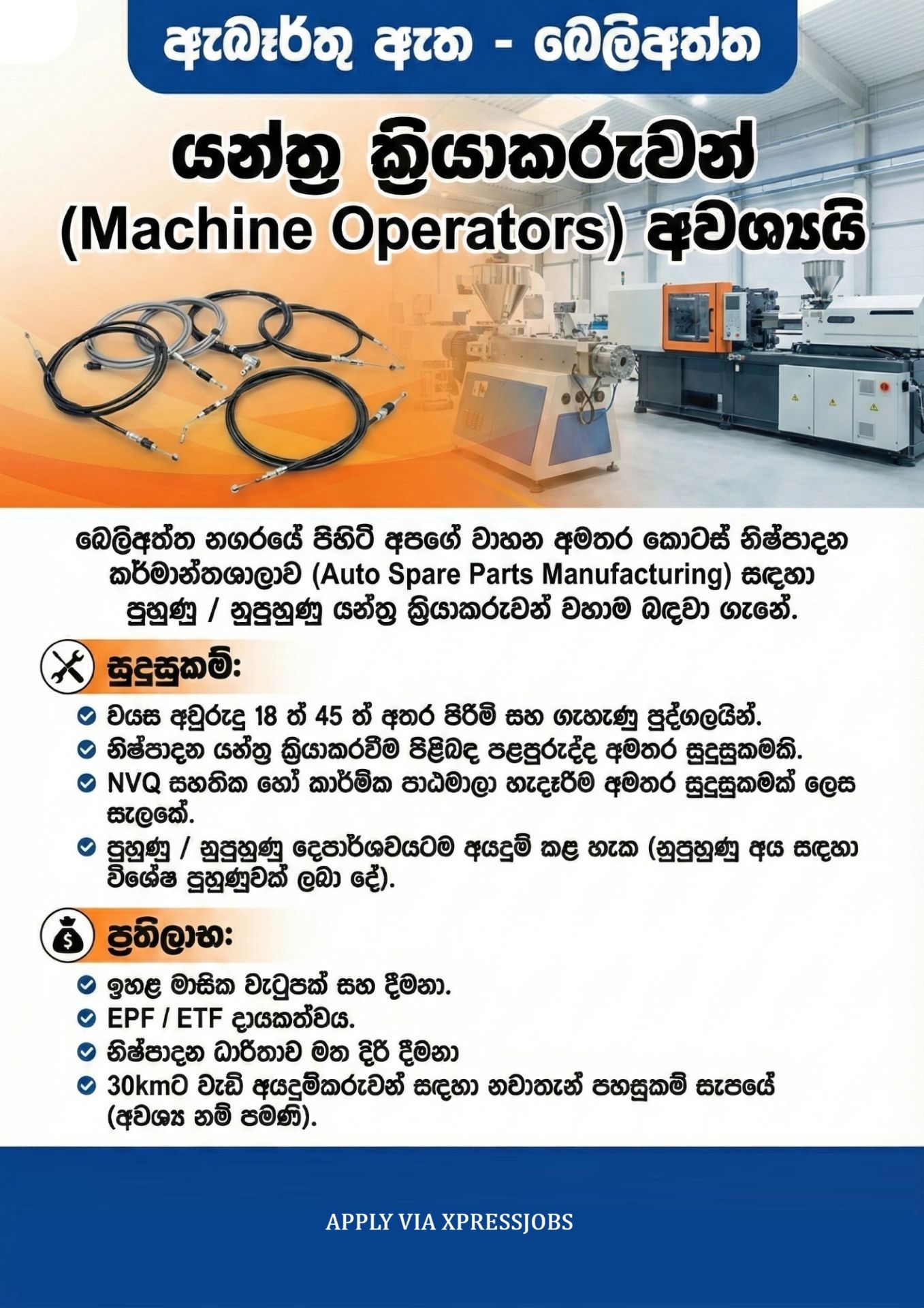 Job Image