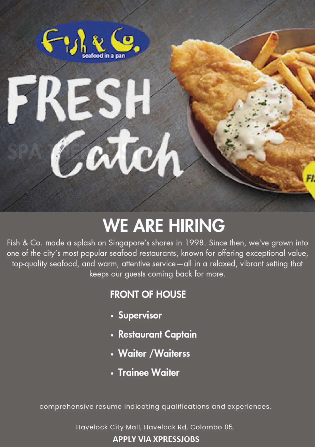 Job Image