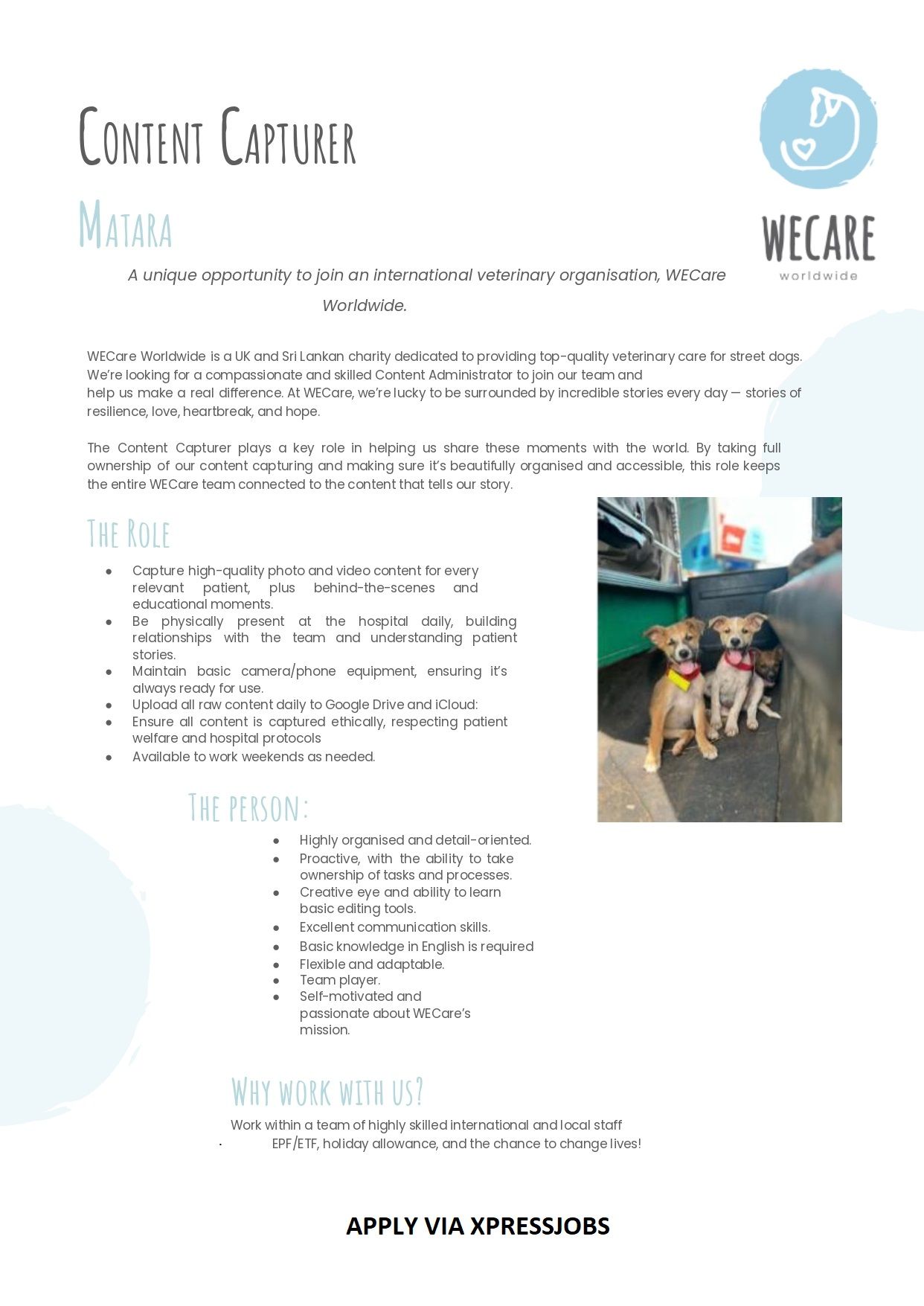 Job Image