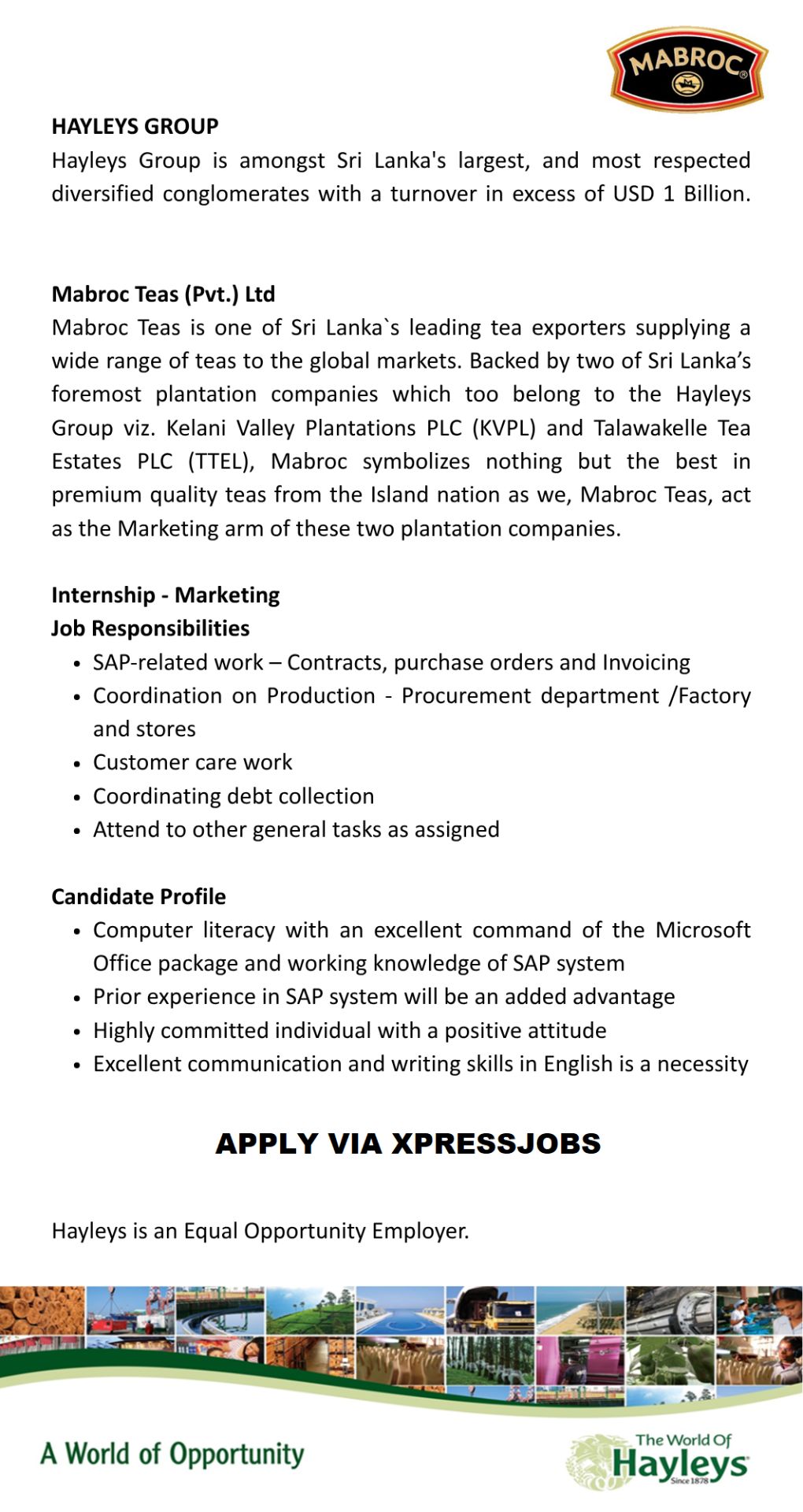 Job Image