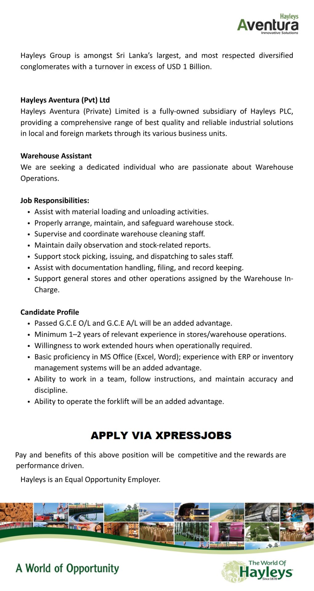 Job Image