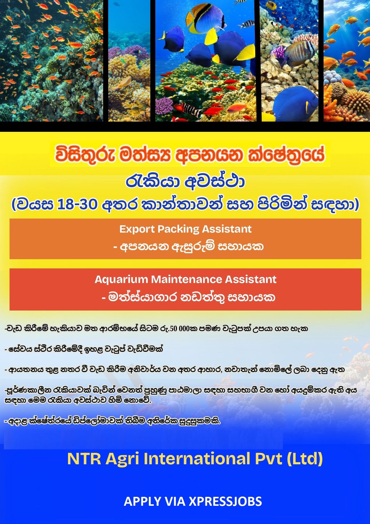 Job Image