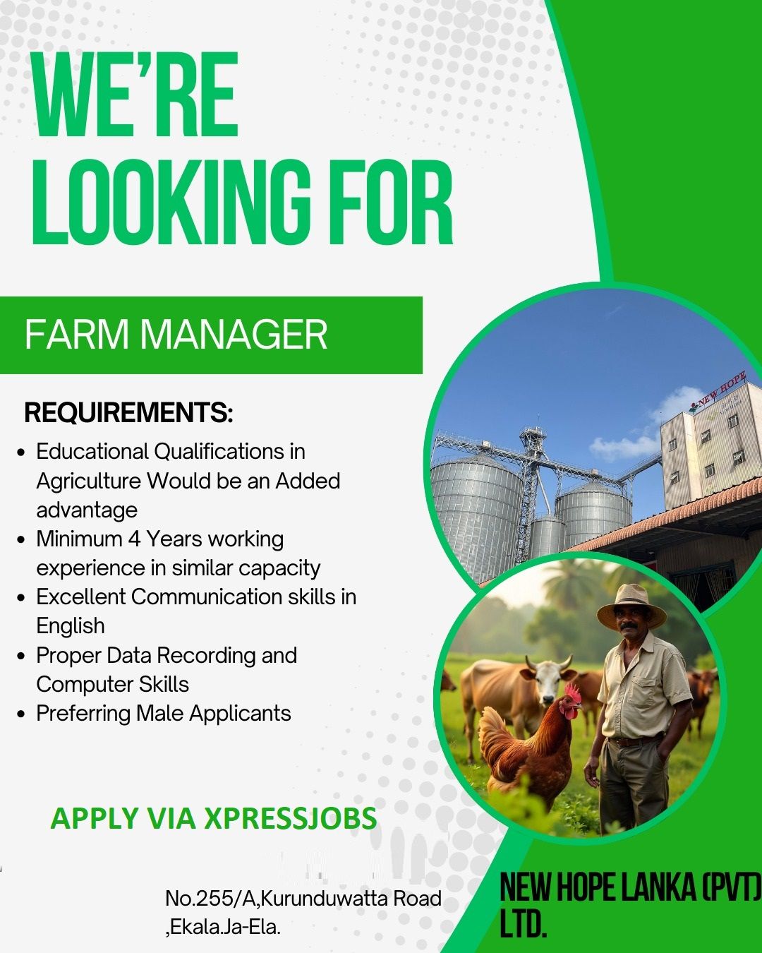 Job Image